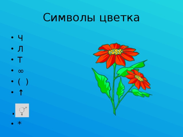 Символы цветка Ч Л Т ∞ ( ) ↑ .