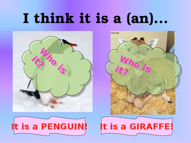 Who is it?  Who is it? I think it is a (an)... It is a PENGUIN! It is a GIRAFFE!