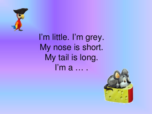 I’m little. I’m grey.  My nose is short.  My tail is long.  I’m a … .