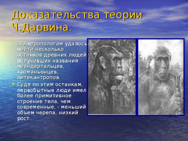 Доказательства теории Ч.Дарвина. 3. Антропологам удалось найти несколько останков древних людей, получивших названия неандертальцев, кроманьонцев, питекантропов. Судя по этим останкам, первобытные люди имели более примитивное строение тела, чем современные, - меньший объем черепа, низкий рост... 