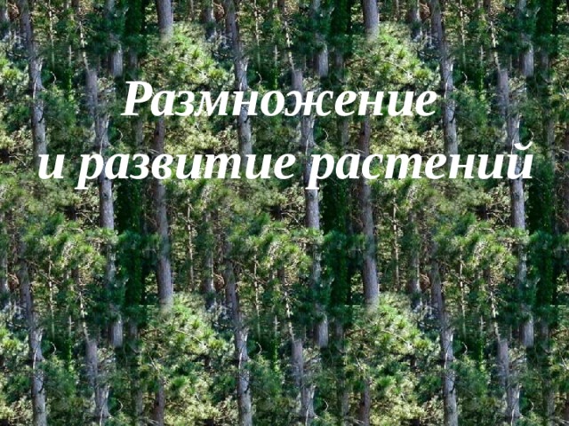 Размножение и развитие растений