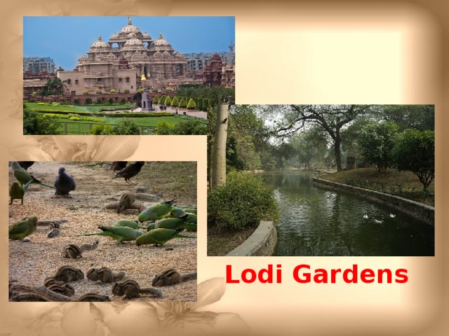 Lodi Gardens