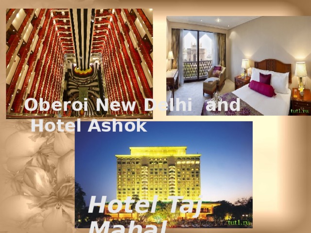 Oberoi New Delhi and Hotel Ashok Hotel Taj Mahal