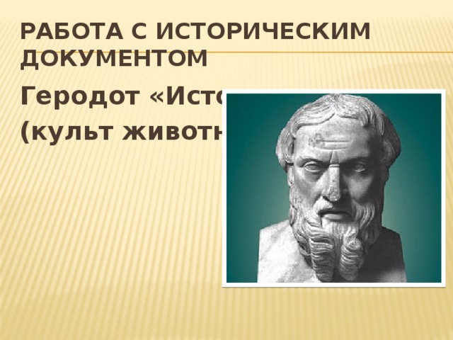 Работа с историческим документом Геродот «История» (культ животных)