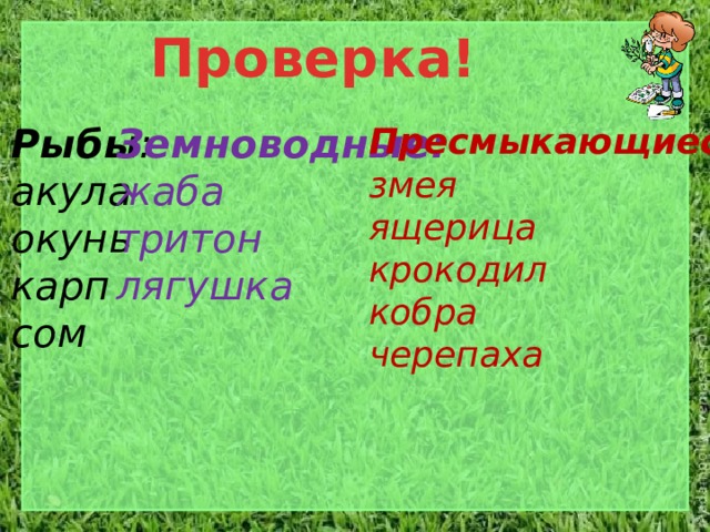 Проверка! Рыбы : Земноводные: Пресмыкающиеся: акула жаба змея окунь тритон ящерица карп лягушка крокодил сом кобра черепаха