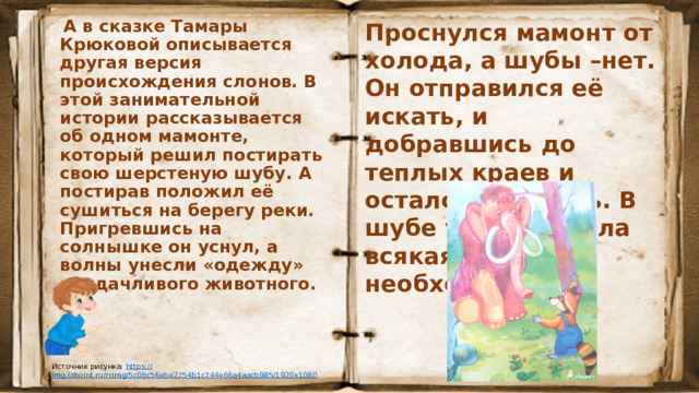 Проснулся мамонт от холода, а шубы –нет. Он отправился её искать, и добравшись до теплых краев и остался там жить. В шубе у него отпала всякая необходимость.  А в сказке Тамары Крюковой описывается другая версия происхождения слонов. В этой занимательной истории рассказывается об одном мамонте, который решил постирать свою шерстеную шубу. А постирав положил её сушиться на берегу реки. Пригревшись на солнышке он уснул, а волны унесли «одежду» неудачливого животного.  Источник рисунка: https :// img.labirint.ru/rcimg/5c0bc56ebe2754b1c744e66a4aacb985/1920x1080 /