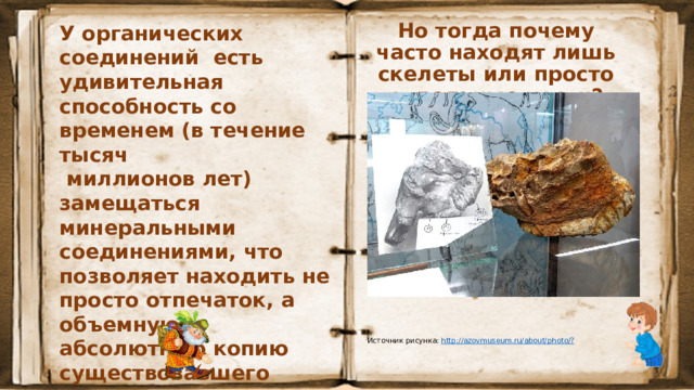 Но тогда почему часто находят лишь скелеты или просто отдельные кости? У органических соединений есть удивительная способность со временем (в течение тысяч  миллионов лет) замещаться минеральными соединениями, что позволяет находить не просто отпечаток, а объемную абсолютную копию существовавшего когда-то организма. Точность каменных копий такова, что на них можно видеть даже следы кровеносных сосудов . Источник рисунка: http ://azovmuseum.ru/about/photo /?