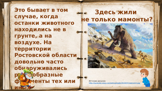 Это бывает в том случае, когда останки животного находились не в грунте, а на воздухе. На территории Ростовской области довольно часто обнаруживались разнообразные фрагменты тех или иных доисторических хоботных животных. Здесь жили не только мамонты? Источник рисунка: http :// kpravda.ru/wp-content/uploads/2019/07/mamont2.jpg